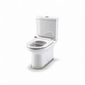 Two-piece elongated toilet with dual flush system and white ceramic finish